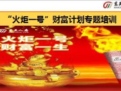 东吴人寿火炬一号财富计划专题培训51页.ppt