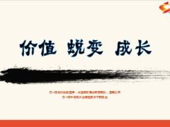 2014年度及2015年一季度银行保险工作总结39页.ppt