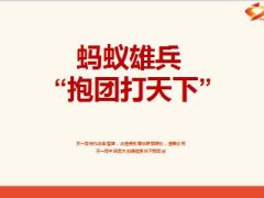 银保保险规划师直管团队一天一单方案19页.ppt