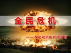 养老双轨制并轨背景解读20页.ppt