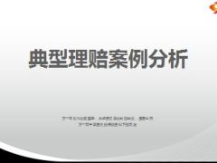 典型理赔案例分析保险意义38页.ppt