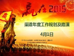 银保渠道年度工作路演及规划26页.ppt