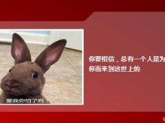 每日快乐早会15年4月17日使用13页.ppt