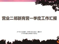 新育营一季度工作汇报21页.ppt