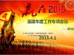银保权益增值发布会项目平台运作组织营销指南84页.ppt