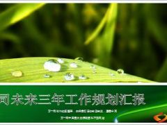 保险公司高管述职报告三年任职规划31页.ppt