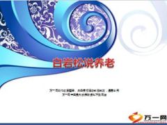 白岩松说养老14页.ppt