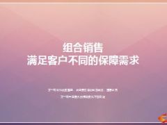 组合销售满足客户不同的保障需求太保版34页.ppt