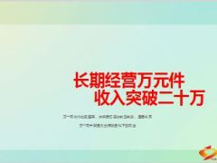 分享长期经营万元件收入突破20万33页.ppt
