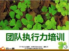 团队执行力培训39页.ppt