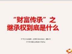 财富传承继承权到底是什么14页.ppt