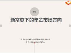 新常态下的年金市场方向19页.ppt