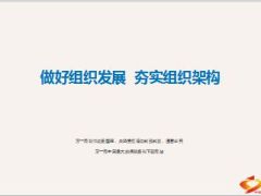 支公司分享课件现状概述组织发展15页.ppt