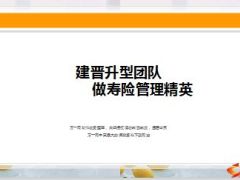 分享建晋升型团队做寿险精英16页.ppt