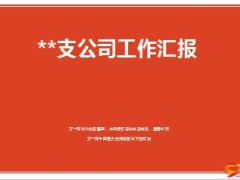 支公司一季度达成分析达成措施二季度规划12页.ppt