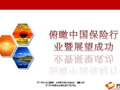 俯瞰中国保险行业暨展望成功40页.ppt