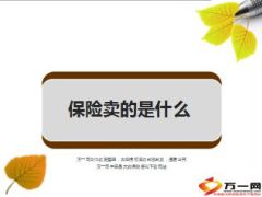 我们卖的是什么24页.ppt