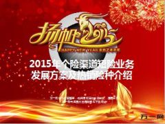 2015年国寿个险渠道短险业务发展方案及热销险种介绍47页.ppt