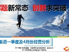 个险渠道一季度及4月份经营分析22页.ppt