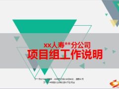 增员功能项目组工作说明59页.ppt