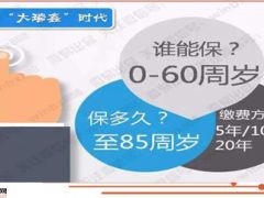 国寿典藏版瑞鑫2015版利益介绍9页.ppt