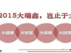 2015年国寿大瑞鑫大健康大财富大保障大回馈7页.ppt