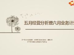 团险五月经营分析六月工作计划15页.ppt