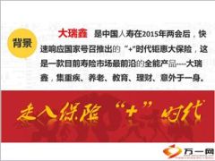 2015国寿大瑞鑫亮点分析15页.ppt