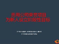 善用公司荣誉项目为新人设立阶段性目标22页.ppt