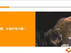每日快乐早会15年5月7日使用15页.ppt