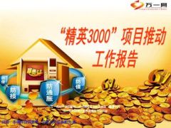 精英3000入围方案达成现状项目推动23页.ppt