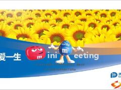 相爱一生MiniMeeting的组织核心要素37页.ppt