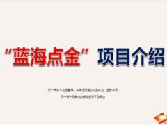 银保蓝海点金产说会项目介绍46页.ppt