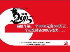 两桩车祸一个8000元变300万元一个母亲替还200万债务12页.ppt