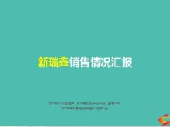 中国人寿新瑞鑫销售情况汇报68页.ppt