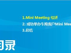 车险客户MiniMeeting如何成功举办35页.ppt