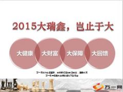 2015大瑞鑫财富升级报告会操作要领与流程11页.ppt