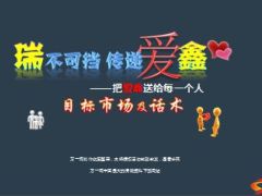 中国人寿瑞鑫典藏目标人群及话术13页.ppt