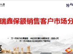 国寿大瑞鑫保额销售客户市场分析18页.ppt