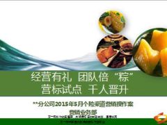 分公司2015年5月个险渠道营销操作案24页.ppt