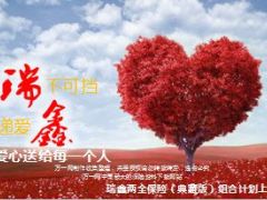 中国人寿瑞鑫典藏版产品宣导88页.ppt