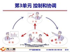 管理的基础和流程MTP课程控制和协调22页.ppt