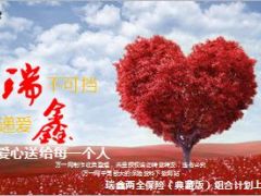 国寿瑞鑫典藏版产品简析目标市场86页.ppt