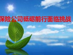 保险公司砥砺前行面临挑战12页.ppt