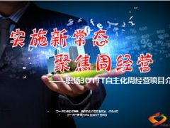 职场3OTTT自主化周经营项目介绍44页.ppt