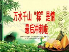 端午节专题粽子递送话术训练35页.ppt