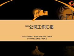 蓝海点金项目介绍运作成果汇报10页.ppt