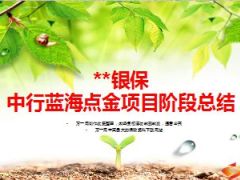 银保蓝海点金项目阶段总结6页.ppt