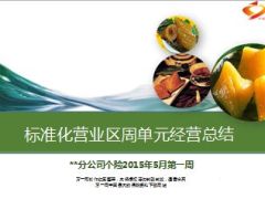 个险标准化营业区周单元经营总结23页.ppt