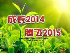 保险中介代理已成必然趋势43页.ppt
